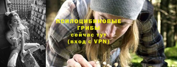 хмурый Алексин
